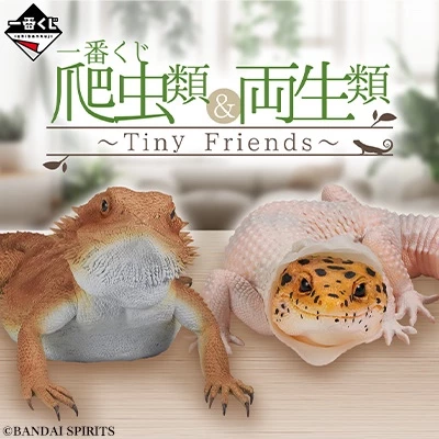 好好丸🎃｜日版 一番賞｜爬蟲類與兩棲類 A賞 鬆獅蜥 B賞 豹紋守宮 C賞 牛蛙 D賞 磁鐵 最後賞 模型 公仔