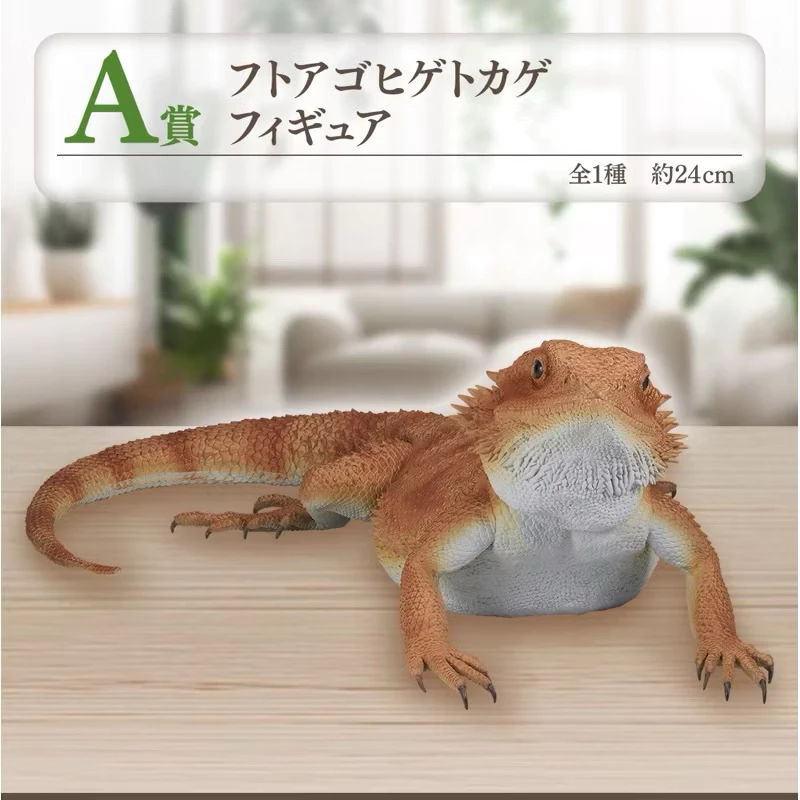 一番賞 爬蟲類 兩棲類 A賞 鬃獅蜥 蜥蜴