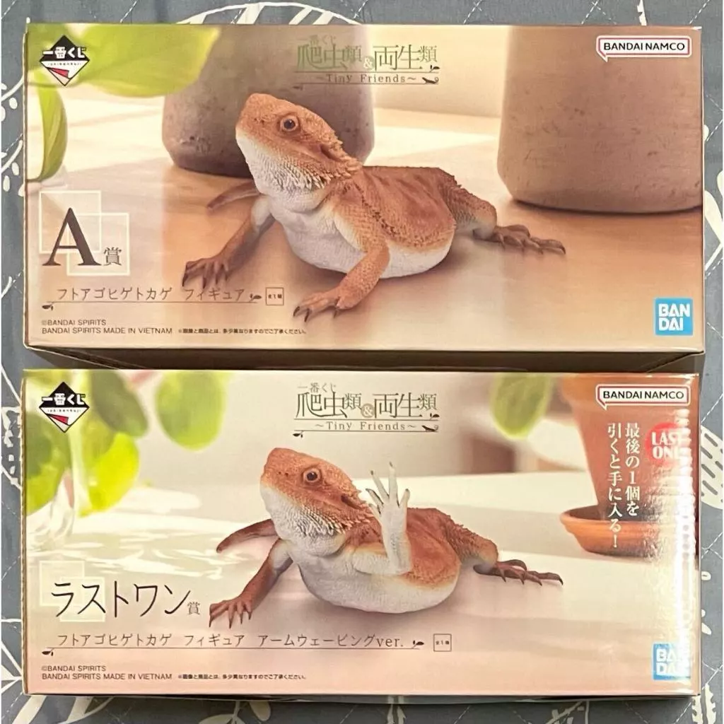 📣現貨🇯🇵✈️一番賞《爬蟲類與兩棲類》Tiny Friends#鬆獅蜥模型 #我只有這個 #豹紋守宮 #變色龍磁鐵大好評